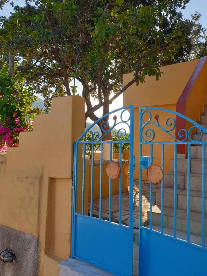 Villa Eleni 瓦西 外观 照片
