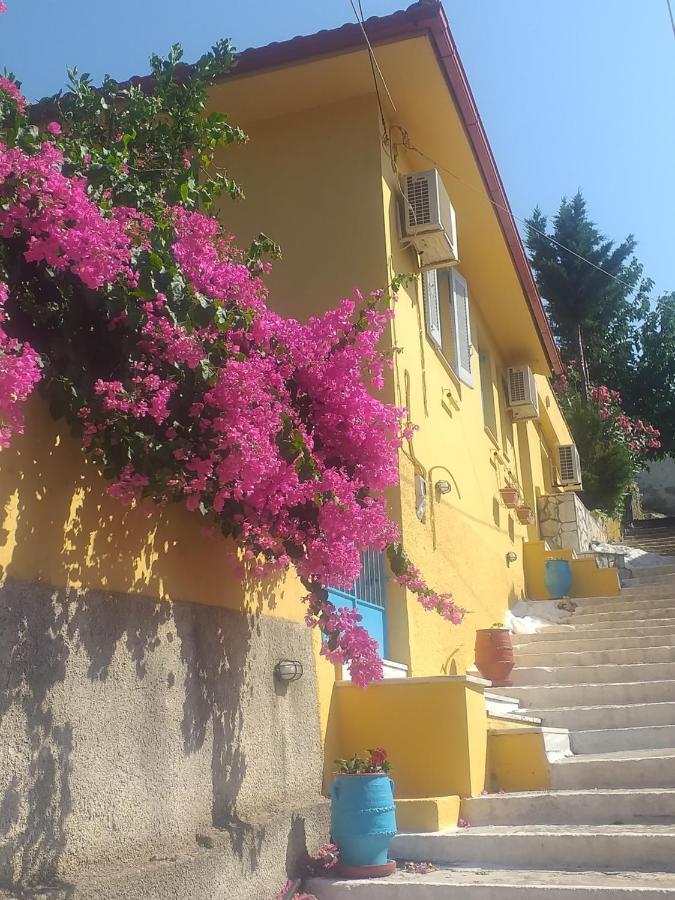 Villa Eleni 瓦西 外观 照片