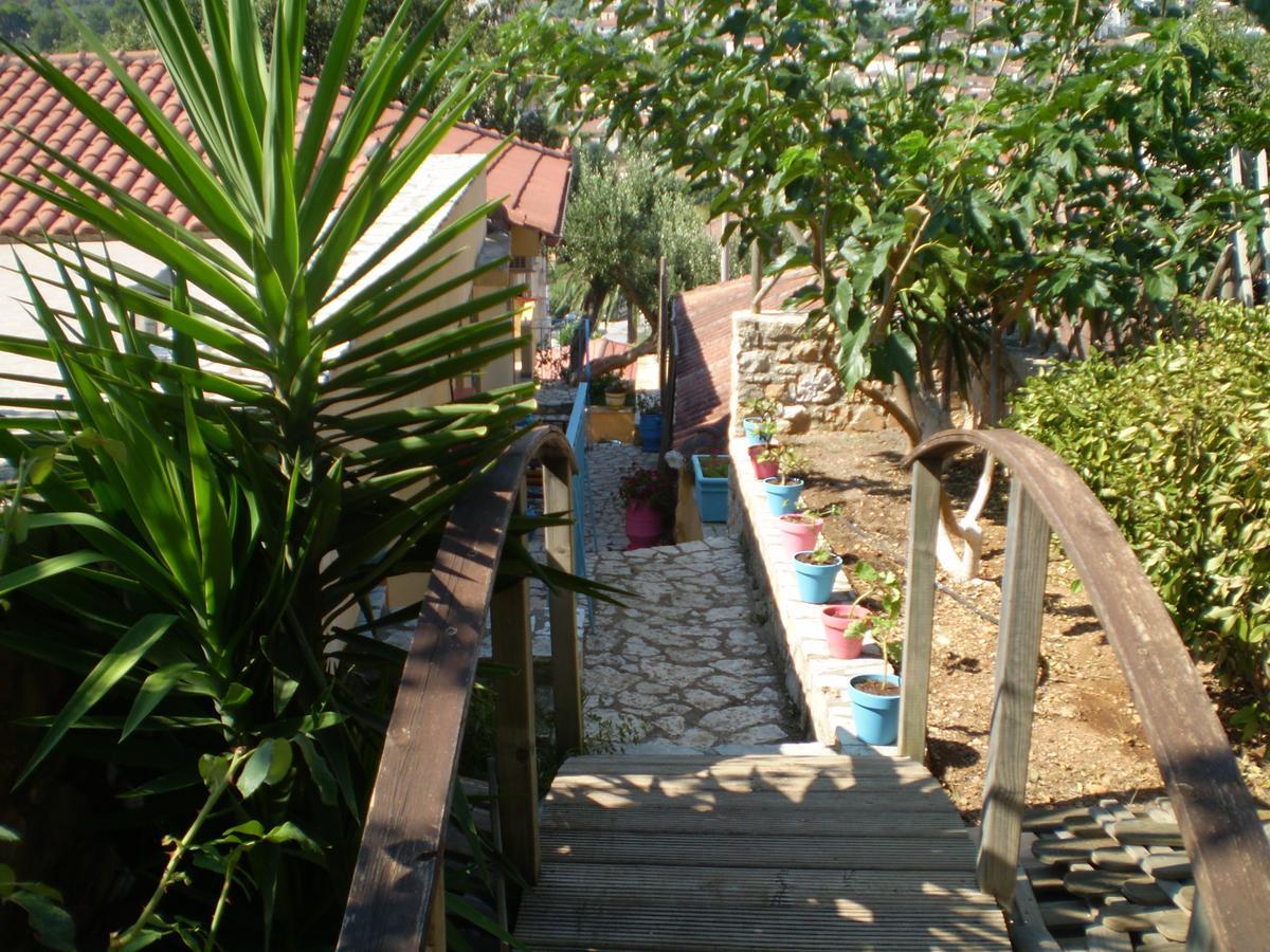 Villa Eleni 瓦西 外观 照片